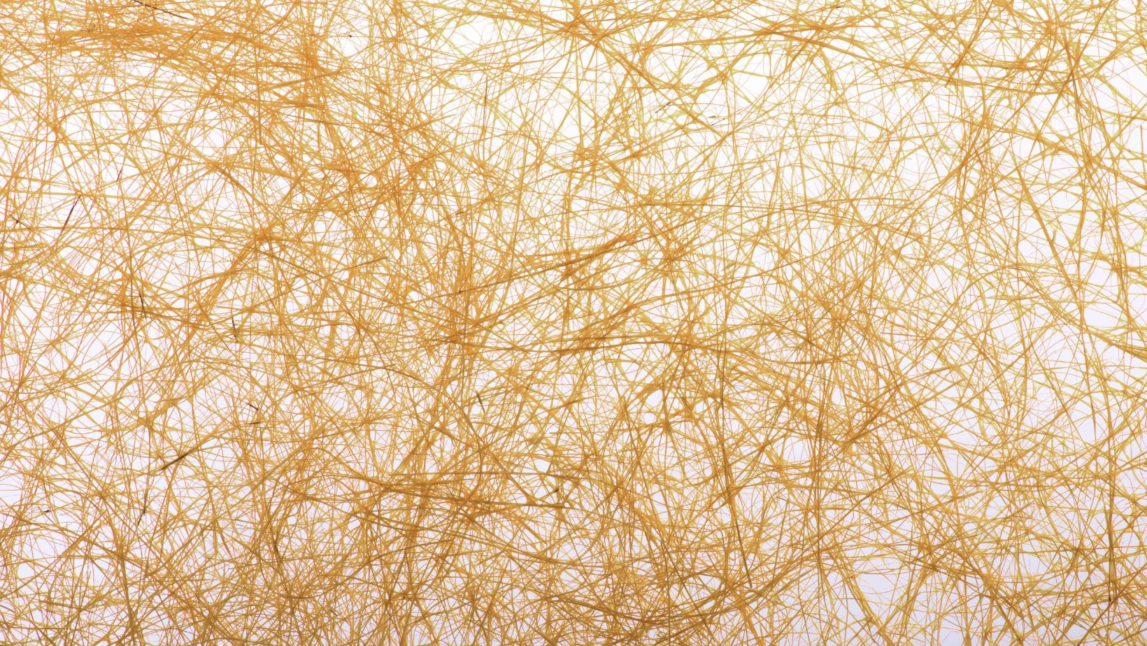 Vnitřní radar těla: rozpoznávání bezpečí a napětí